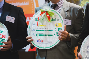 Távhőszolgáltatási Szakmai Napok 2017