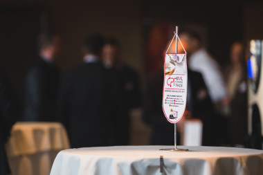 Távhőszolgáltatási Szakmai Napok 2017